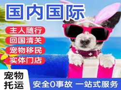 青山航空邮寄国际宠物托运 【国